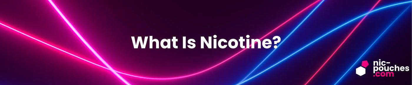What Is Nicotine? Blog Banner