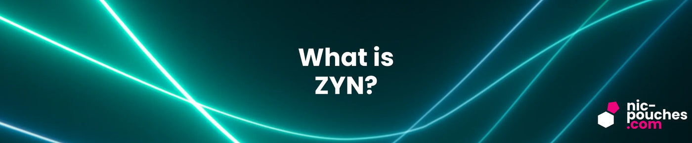 What Is ZYN? Blog Banner