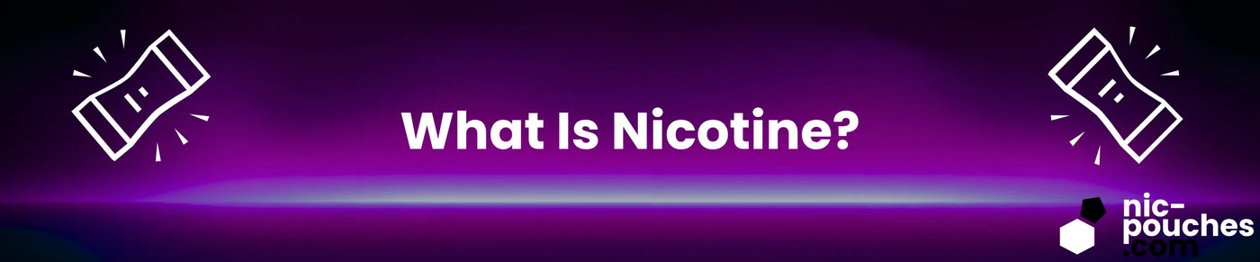 What Is Nicotine? Blog Banner