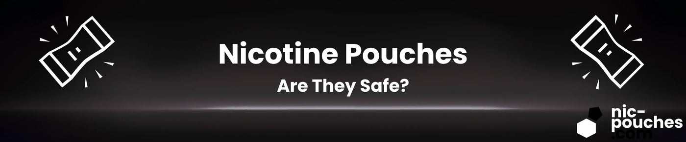 Are nicotine pouches safe? Blog Banner