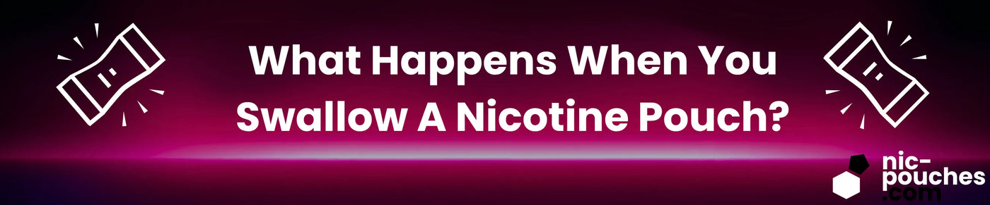 What Happens When You Swallow A Nicotine Pouch? Banner