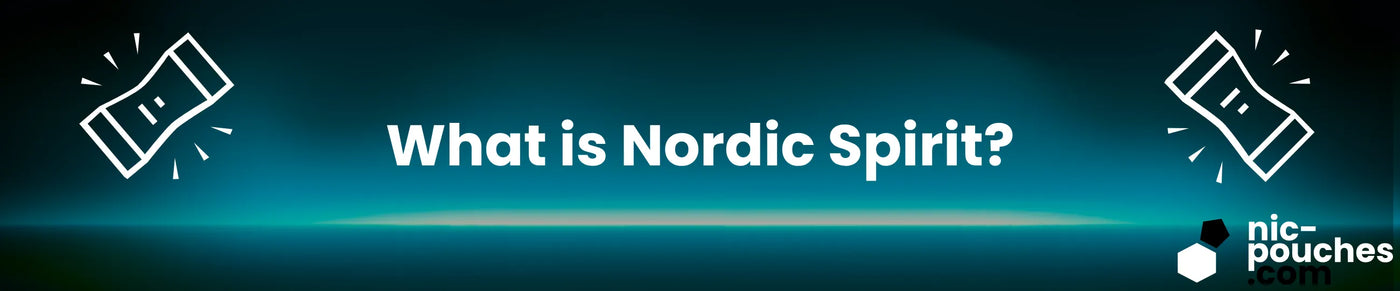 What Is Nordic Spirit? - Blog Post Banner