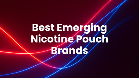 Best Emerging Nicotine Pouch Brands In The UK