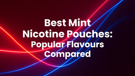Best Mint Nicotine Pouches