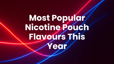 Most Popular Nicotine Pouch Flavours This Year