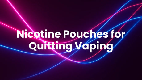 Nicotine Pouches for Quitting Vaping