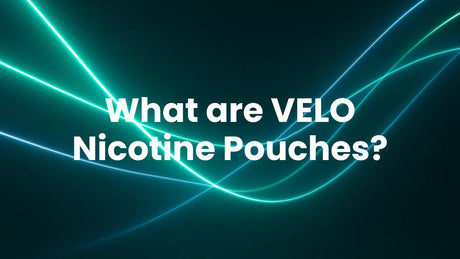 What are VELO Nicotine Pouches?
