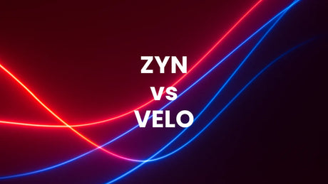 Zyn Vs Velo: Which Nicotine Pouches are Best?