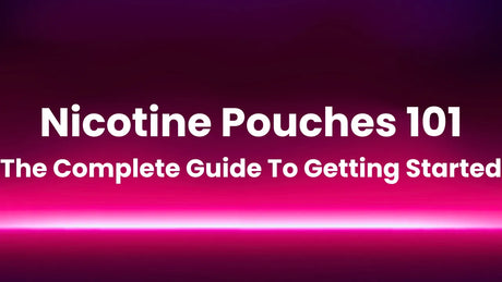 Nicotine Pouches 101