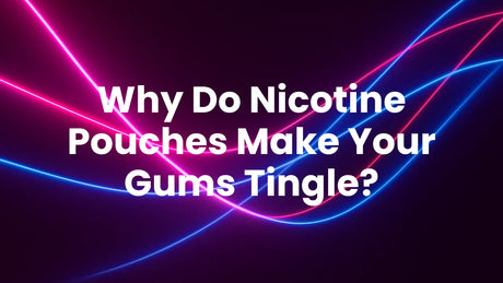 Why Nicotine Pouches Make Your Gums Tingle