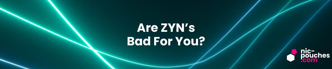 Are ZYN Bad For You? Blog Banner