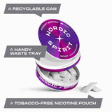 Nordic Spirit Forest Berries Nicotine Pouch