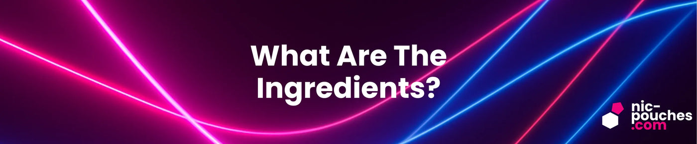 What Are The Ingredients Of Nicotine Pouches? Blog Banner
