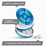 Nordic Spirit Frosty Mint Nicotine Pouches