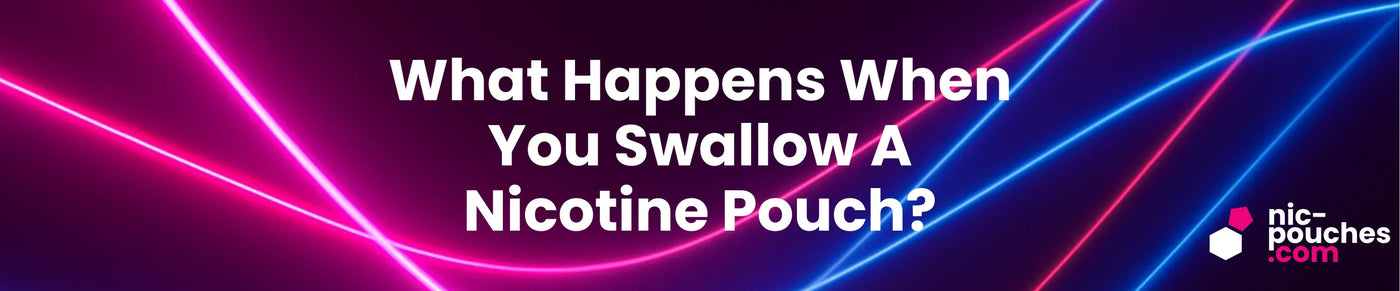 What Happens When You Swallow Nicotine Pouches? Blog Banner