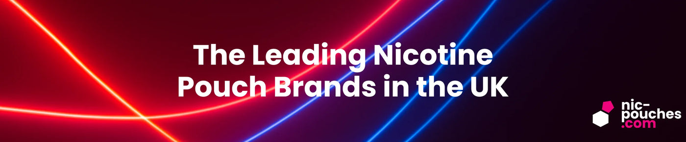 The Leading Nicotine Pouch Brands In The UK - Blog Banner