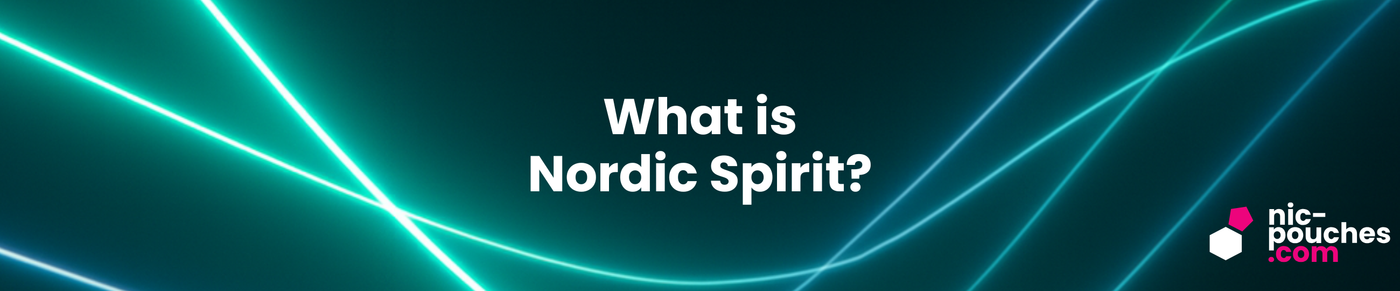 What Is Nordic Spirit? Blog Banner