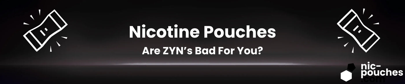 Are ZYNs Bad For You? Blog Banner