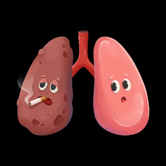 Cartoon Lungs - One Smoking and One Healthy