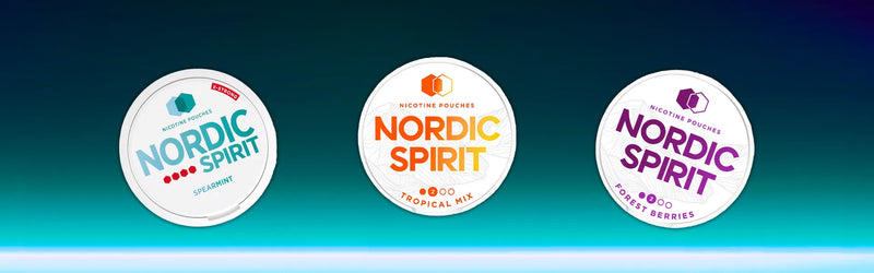 Nordic Spirit Banner Image